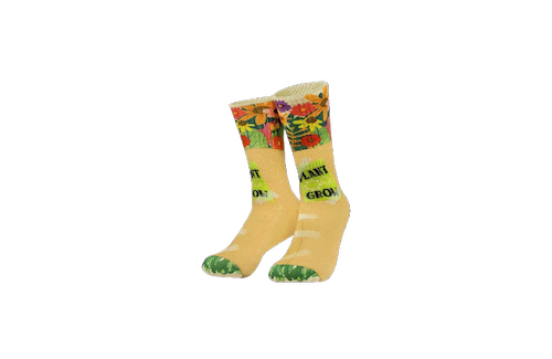 Silly socks - Bloemen